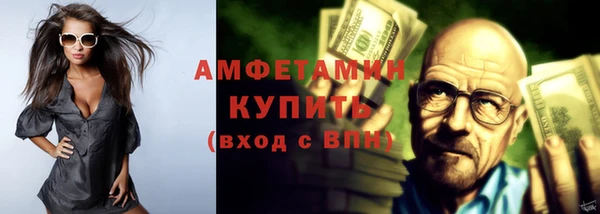 ГАЛЛЮЦИНОГЕННЫЕ ГРИБЫ Корсаков