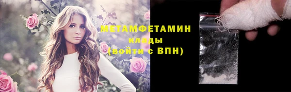 ГАЛЛЮЦИНОГЕННЫЕ ГРИБЫ Корсаков