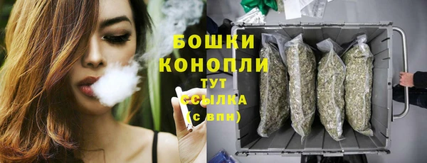 соль ск Краснослободск