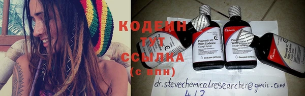 ГАЛЛЮЦИНОГЕННЫЕ ГРИБЫ Корсаков