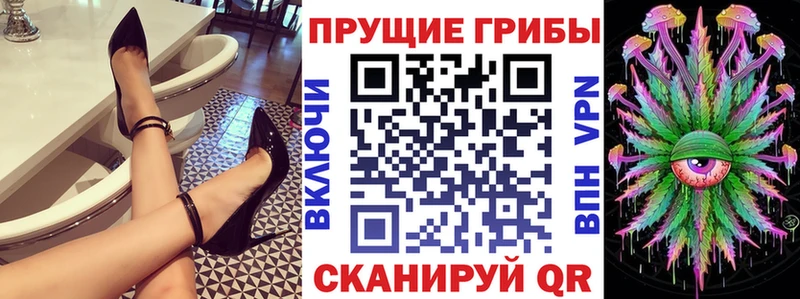 Галлюциногенные грибы Psilocybe Тихорецк
